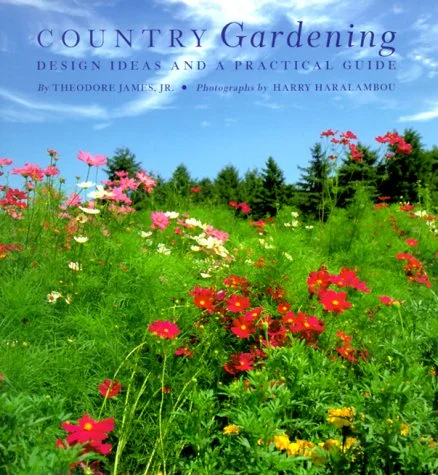 roundaboutbookstore-11693501