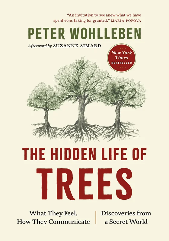 roundaboutbookstore-11701666