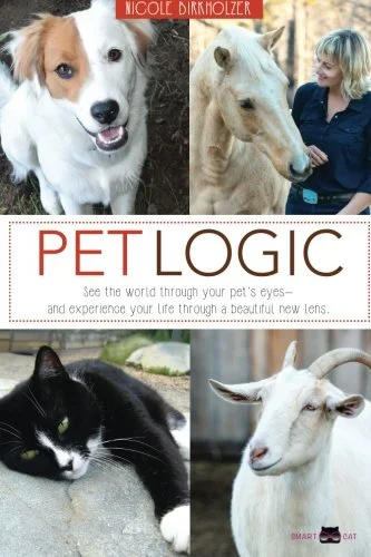 roundaboutbookstore-11721338