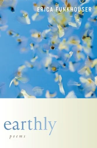 roundaboutbookstore-11751563