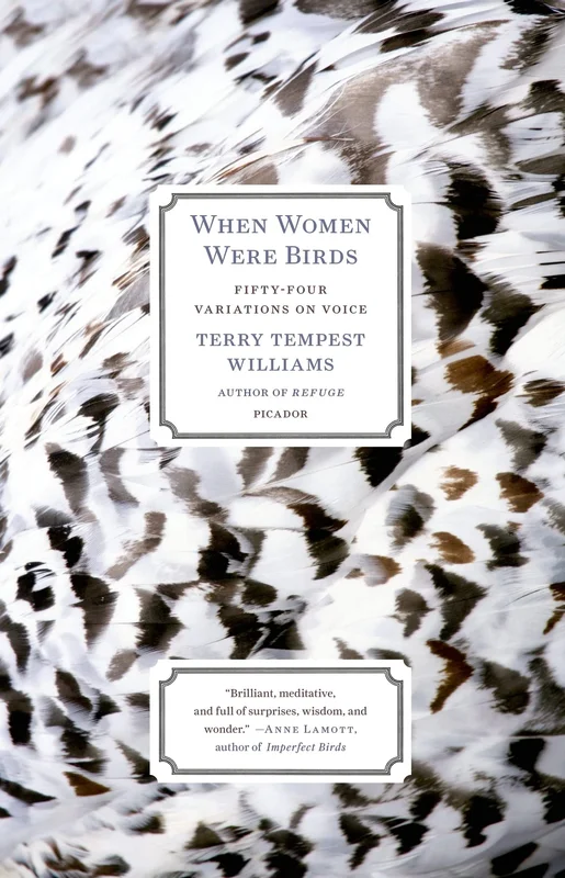 roundaboutbookstore-11764682