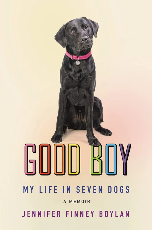 roundaboutbookstore-11772342