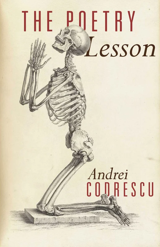 roundaboutbookstore-11773390