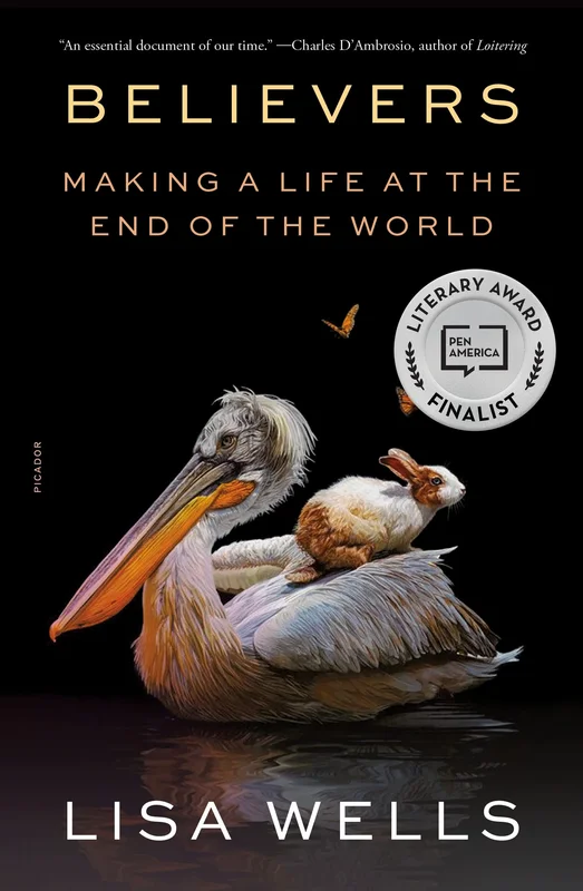 roundaboutbookstore-11775454