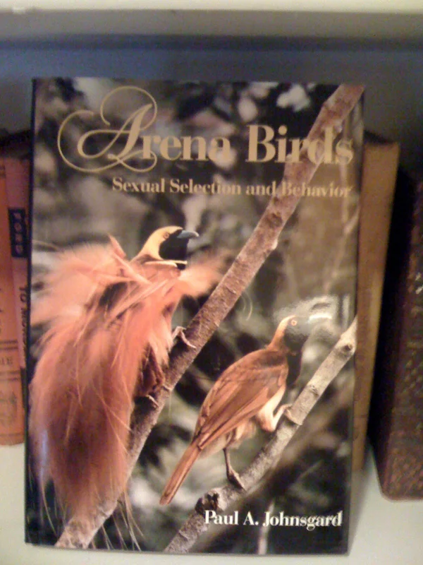 roundaboutbookstore-11788621