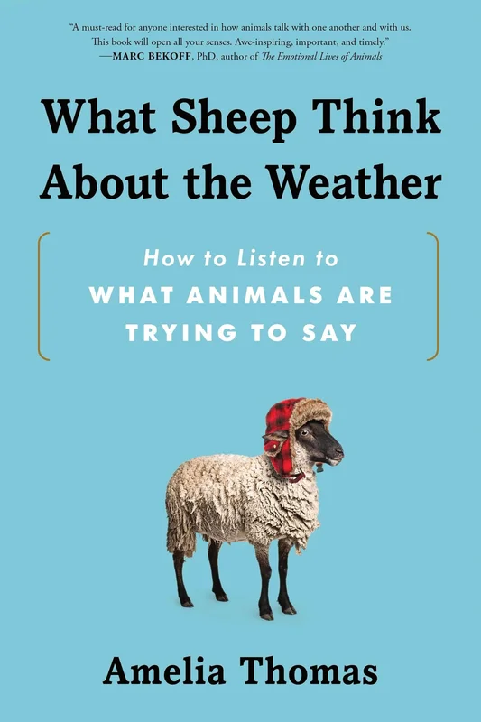 roundaboutbookstore-11796097