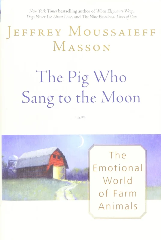 roundaboutbookstore-11798532