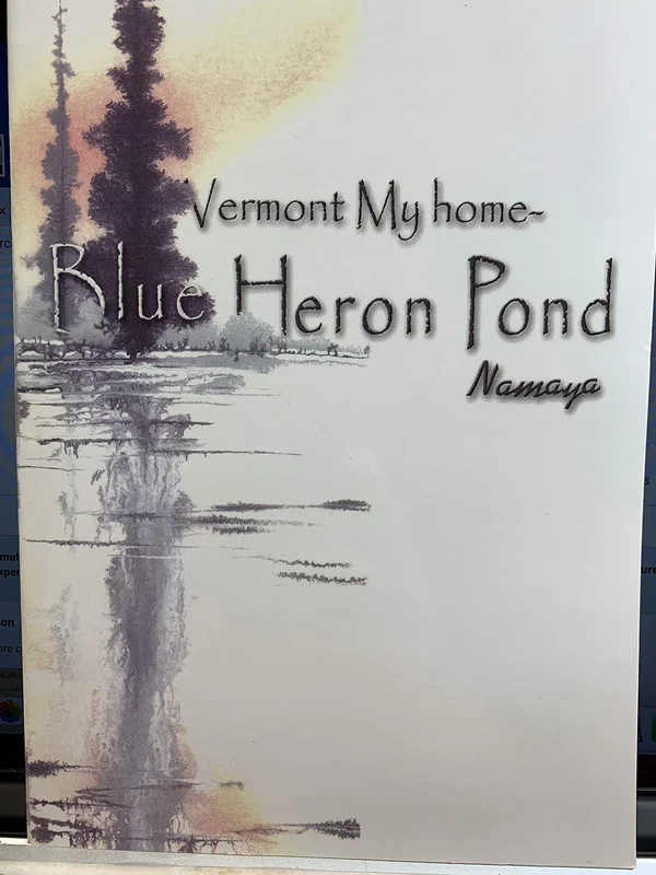 roundaboutbookstore-11822452
