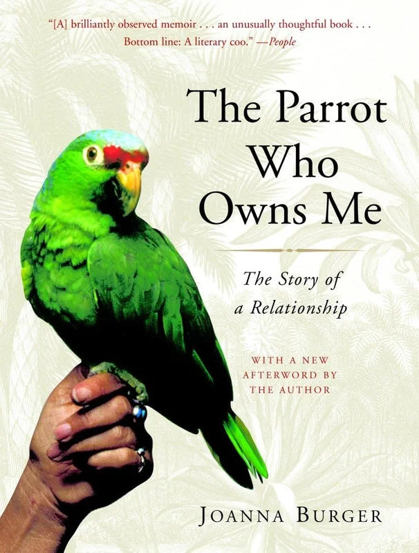 roundaboutbookstore-11859758