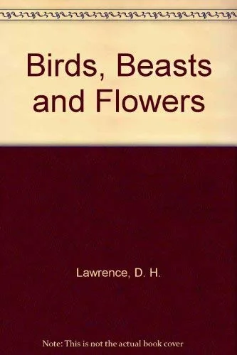 roundaboutbookstore-11861274