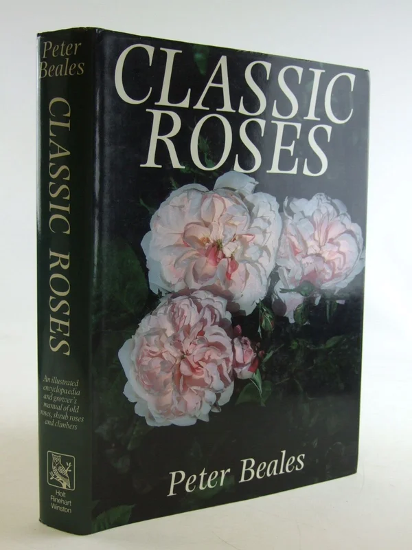 roundaboutbookstore-11876940