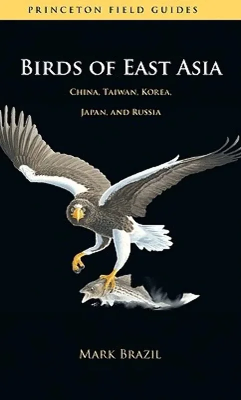 roundaboutbookstore-11877453
