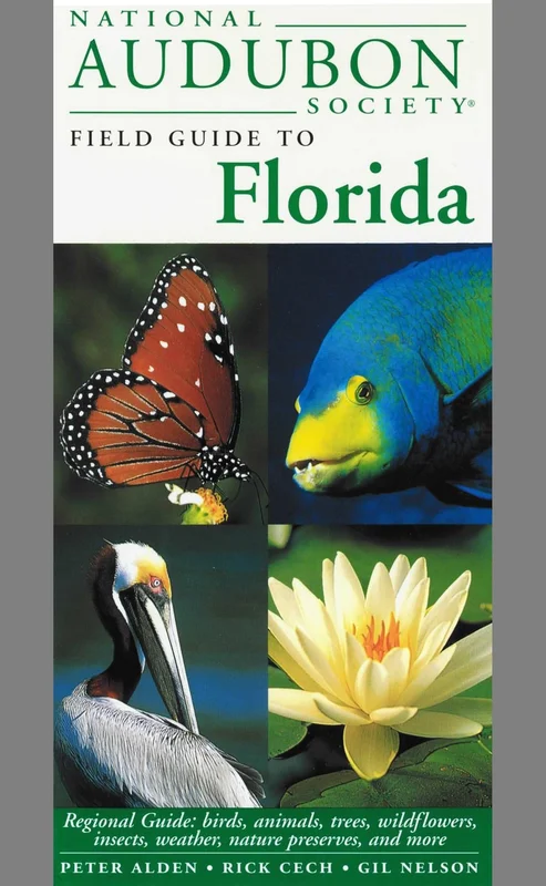 roundaboutbookstore-11884469