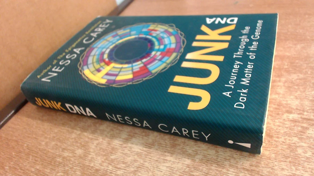 roundaboutbookstore-11889156