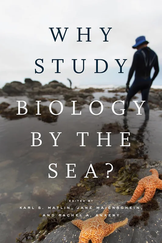 roundaboutbookstore1028858