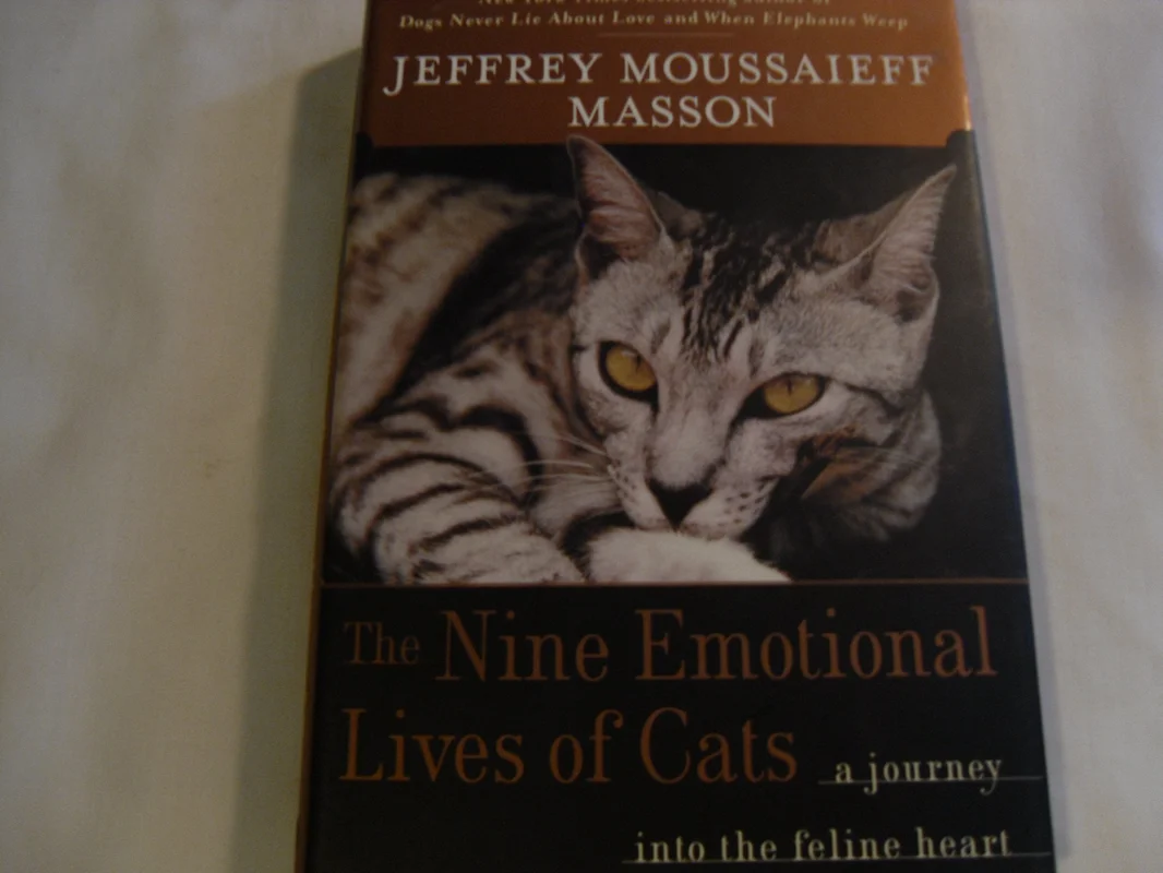 roundaboutbookstore1218454