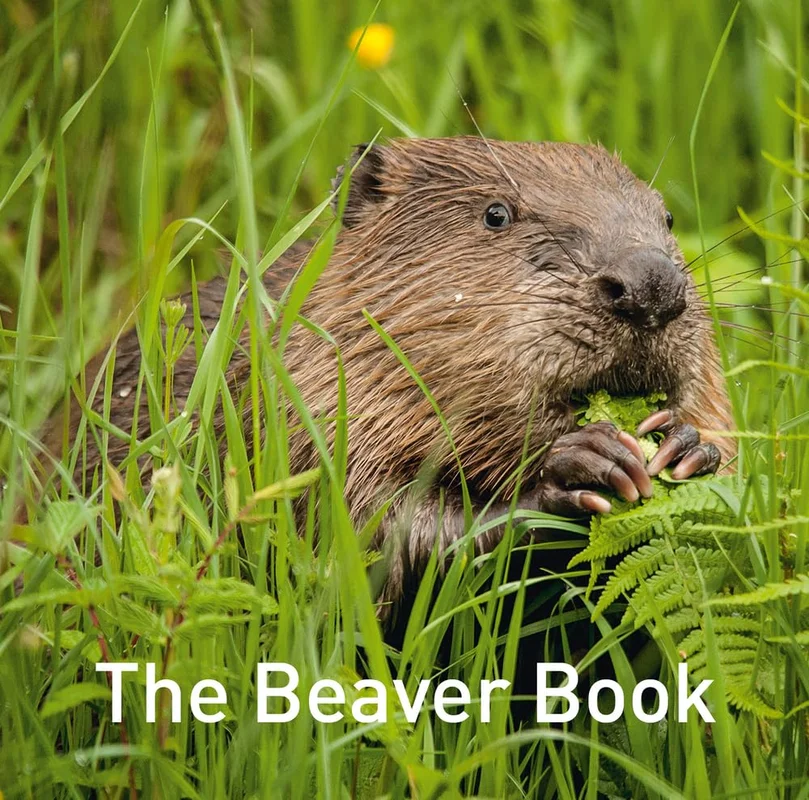 roundaboutbookstore1235602