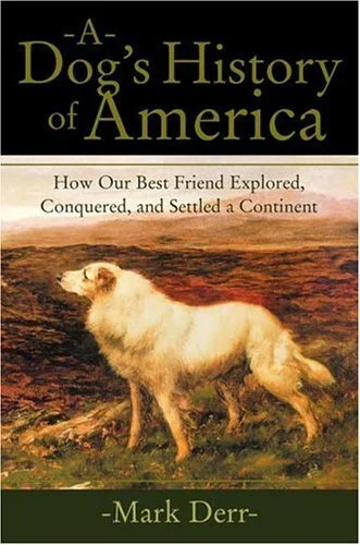 roundaboutbookstore1371934