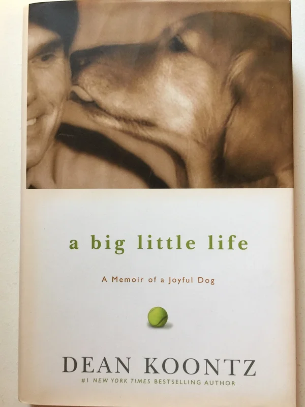 roundaboutbookstore1371952