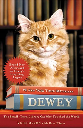roundaboutbookstore1372686