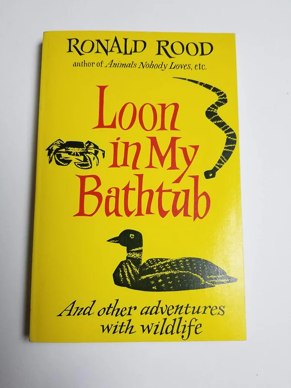 roundaboutbookstore1372893