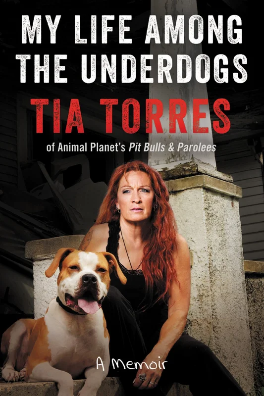 roundaboutbookstore1373130