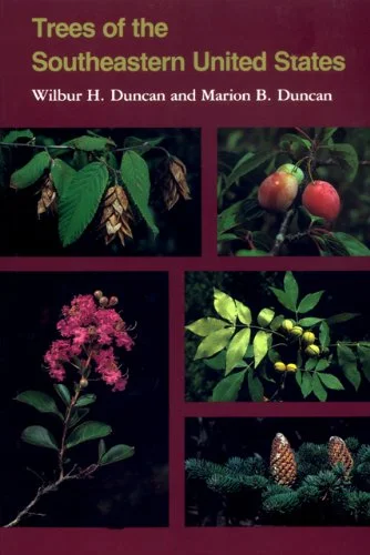 roundaboutbookstore1374397