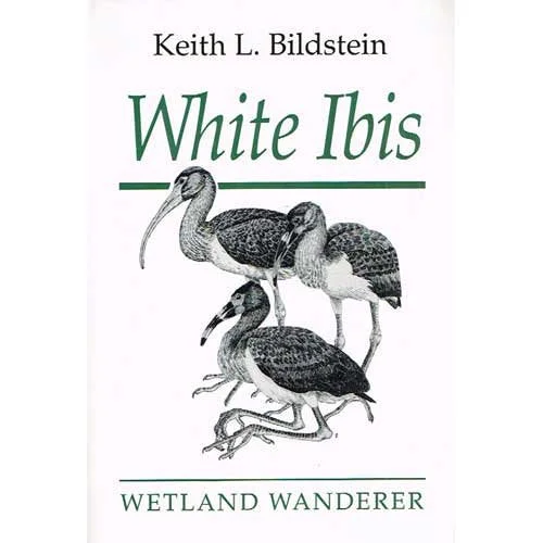 roundaboutbookstore1374847