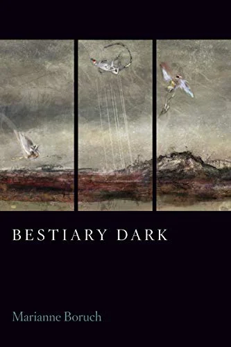 roundaboutbookstore945271