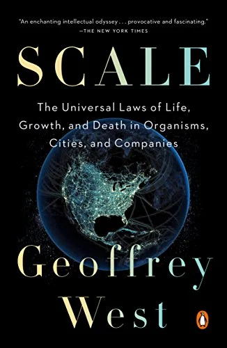 roundaboutbookstore948542