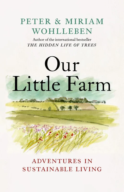 roundaboutbookstore976582