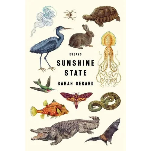 welibooks1152559