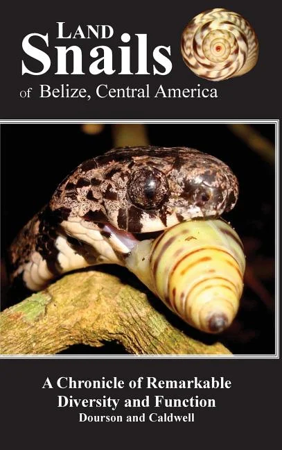 worldcaribbeanbooks-11261704