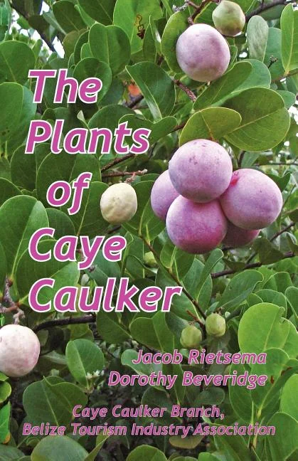 worldcaribbeanbooks-11261858