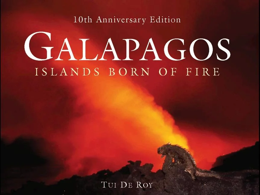 worldcaribbeanbooks-1983685