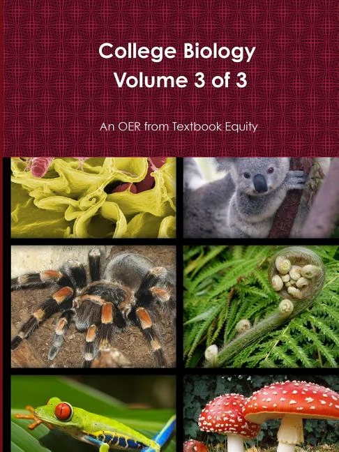 worldcaribbeanbooks923370